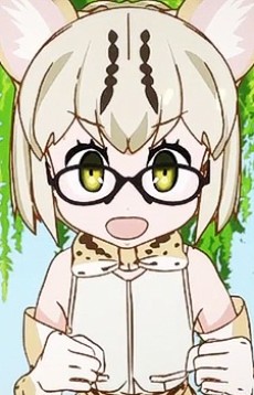 Margay 