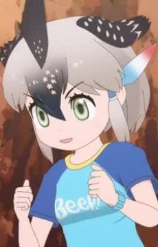 Oomichibashiri オオミチバシリ