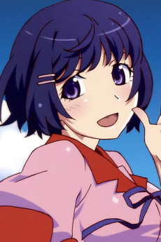 Tsubasa Hanekawa